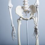 歪み　骨盤の歪み　骨盤矯正