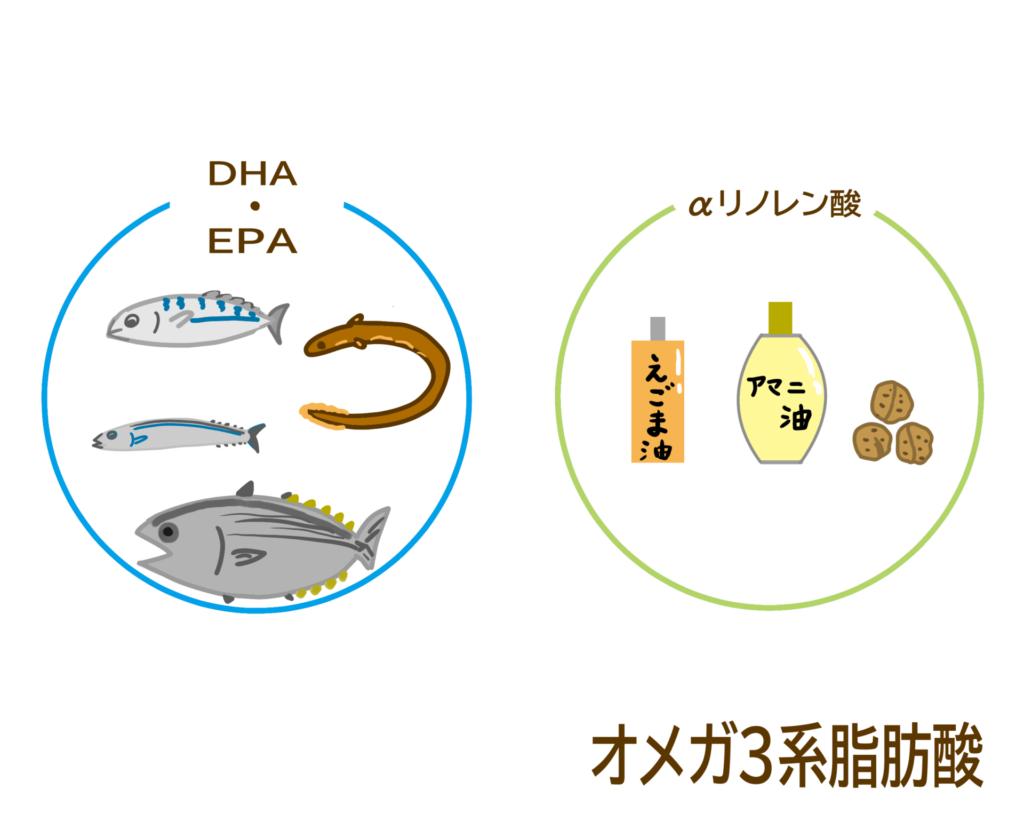 オメガ3脂肪酸
