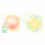 卵子の「見た目」と「中身」